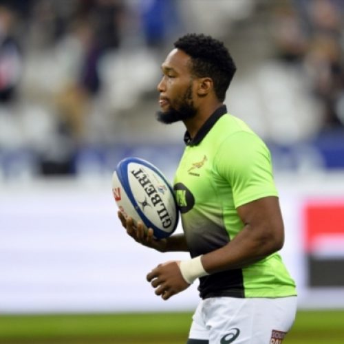 Am, Gelant deserve Springboks chance