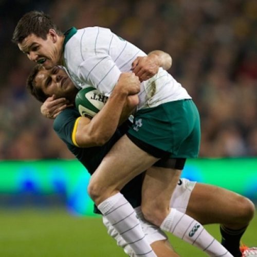 Ireland vs Springboks preview