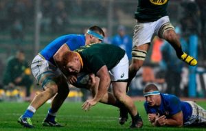 Read more about the article Springboks bulldoze Italy