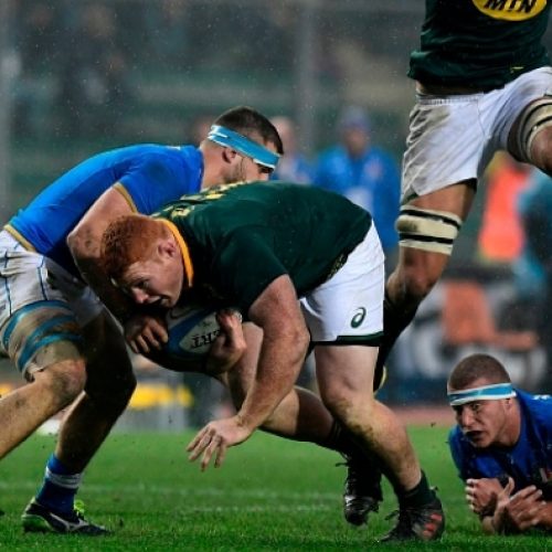 Springboks bulldoze Italy