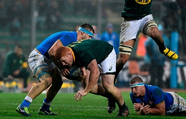 You are currently viewing Springboks bulldoze Italy