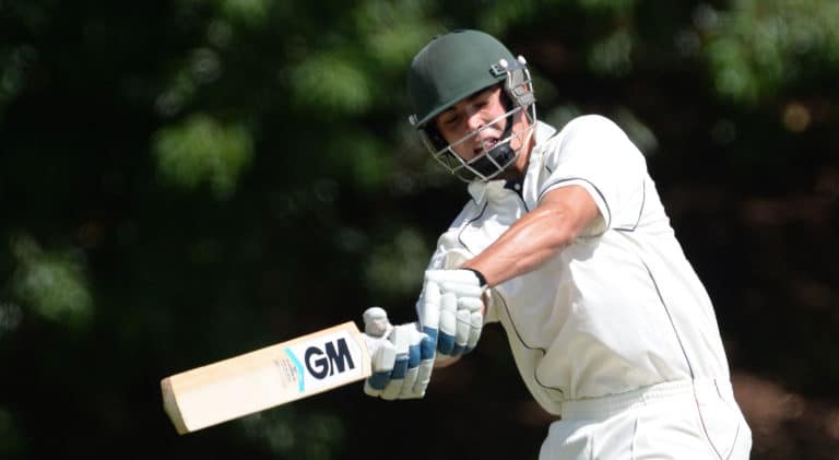 You are currently viewing SA batsman smashes 490 in 50-over match