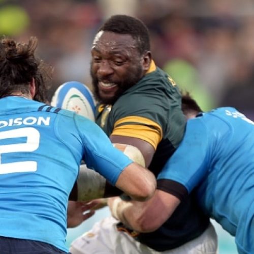 Springboks must adapt to ref, conditions