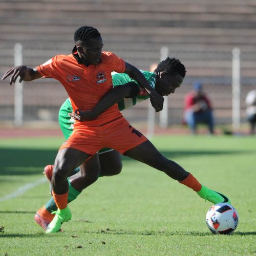 Preview: Polokwane City vs Bloemfontein Celtic