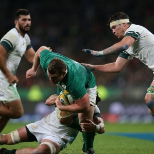 Coetzee: Ireland are ‘All Blacks of Europe’