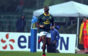 Read more about the article Springboks caught in two minds