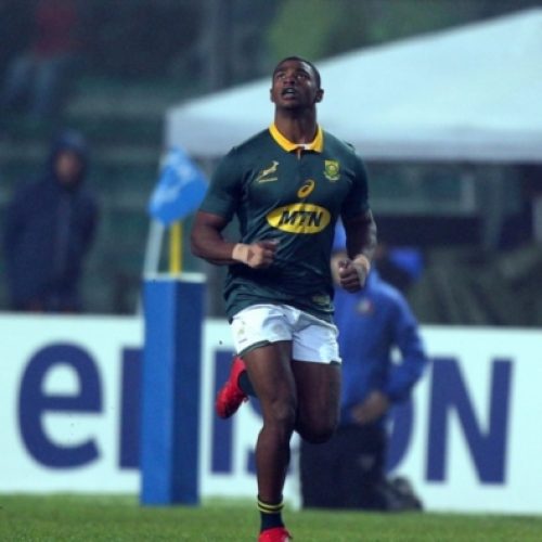 Springboks caught in two minds