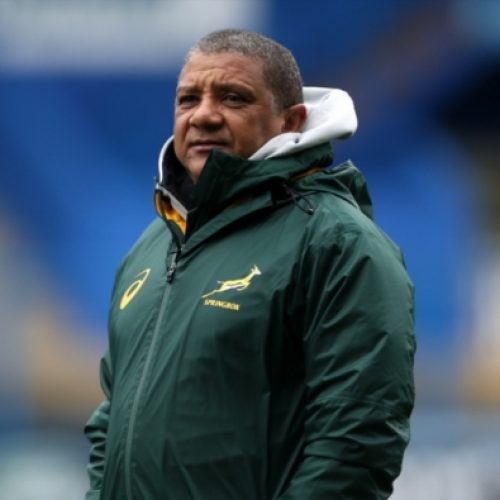 Bok coach fights back