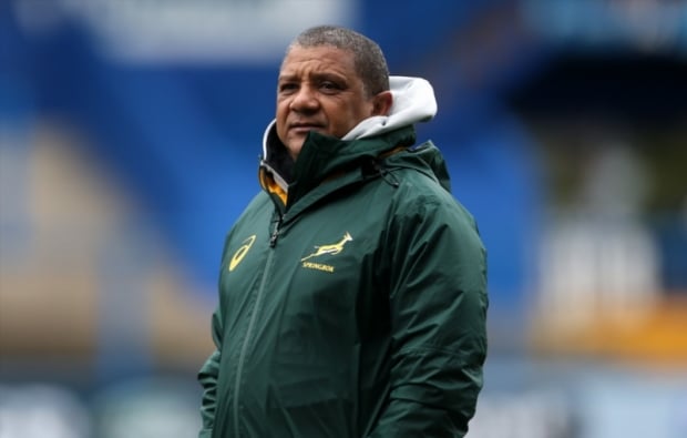 You are currently viewing Bok coach fights back