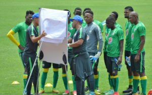 Read more about the article Senong names Amajita’s Cosafa squad