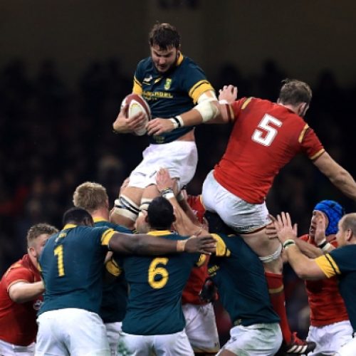 Lood: Springboks Season hinges on Cardiff result