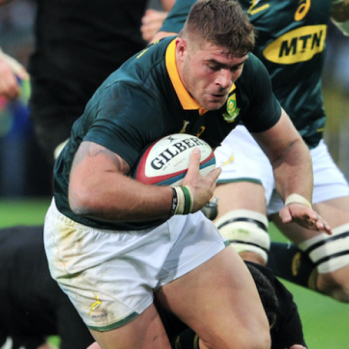 Marx nominated for three SA Rugby awards