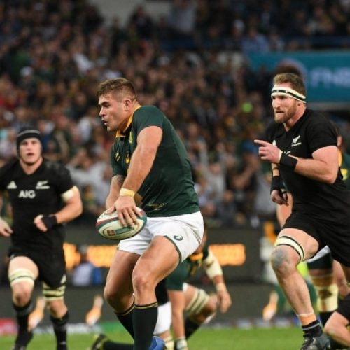 Springboks to play All Blacks in Pretoria