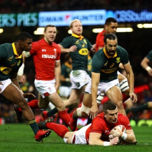 Wales pound pathetic Springboks