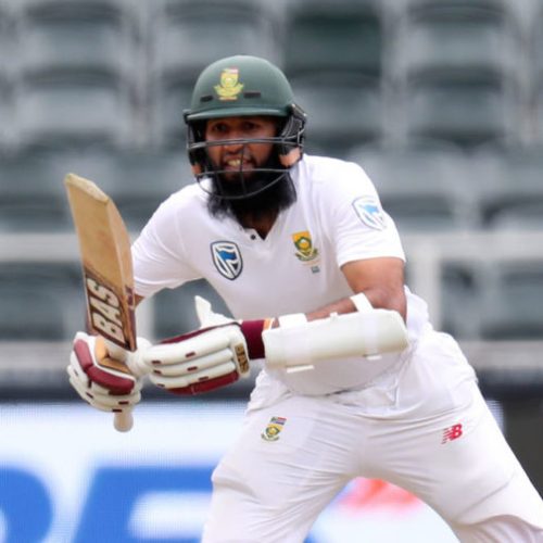 Amla digs deep for Proteas at Wanderers