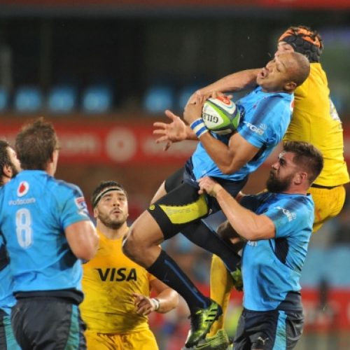 Bulls to play warm-up match against Jaguares