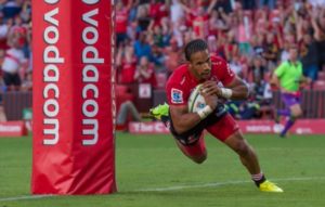 Read more about the article Lions lose Springbok wing to injury