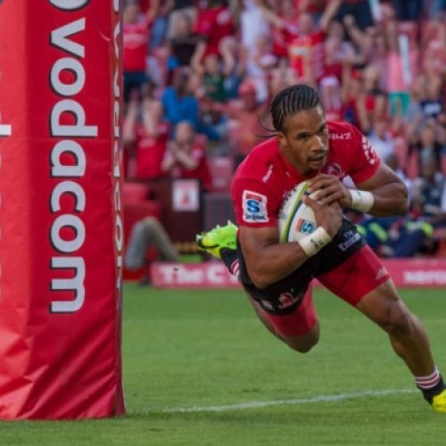 Lions lose Springbok wing to injury