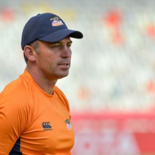 Cheetahs: Franco is our director of rugby