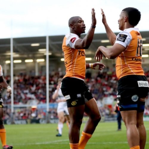 Pro14 preview: Kings vs Cheetahs