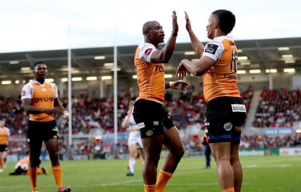 You are currently viewing Pro14 preview: Kings vs Cheetahs