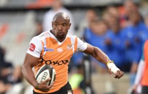 Read more about the article Sharks await Mapimpi’s arrival