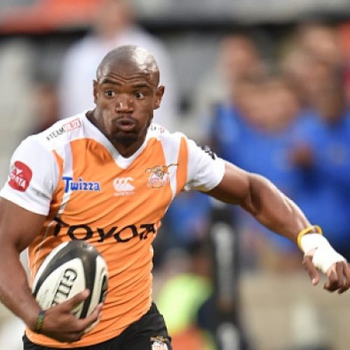 Sharks await Mapimpi’s arrival