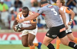 Read more about the article Cheetahs thump Kings in Bloem