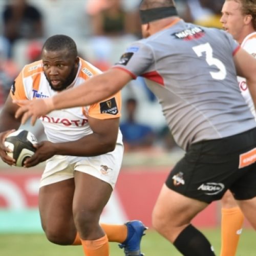 Cheetahs thump Kings in Bloem