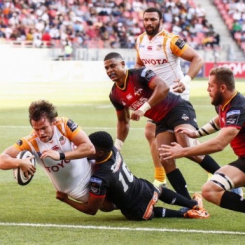 Preview: Cheetahs vs Kings