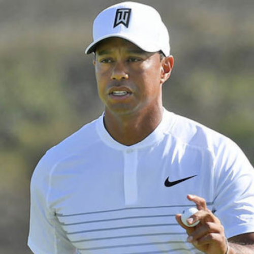 Tiger saved by his short game