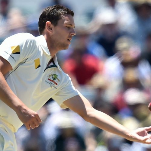 Hazlewood targets Hashim Amla