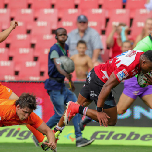 Lions maul Jaguares at Ellis Park