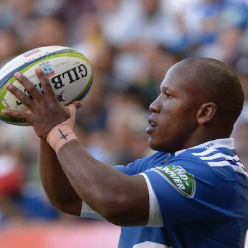 Stormers suffer Mbonambi blow