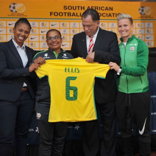 Banyana Banyana finally appoint Desiree Ellis as coach