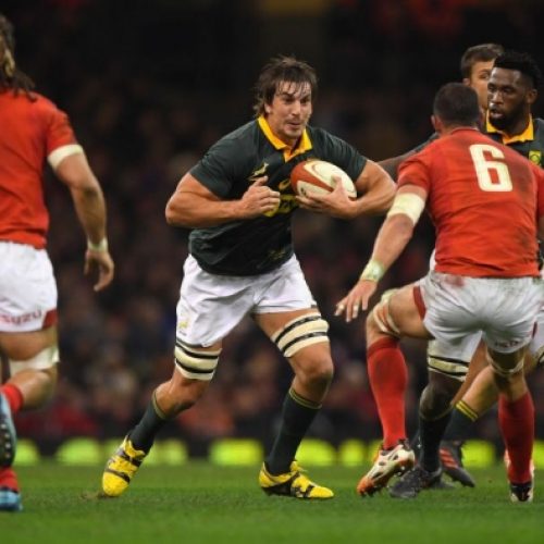 Springboks to play Wales in USA