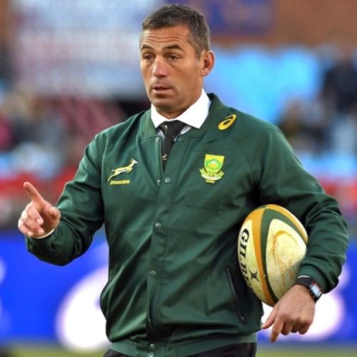 ‘Boks can kick on with Rassie’