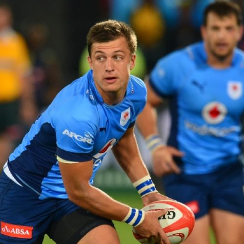 Bulls welcome back Springboks