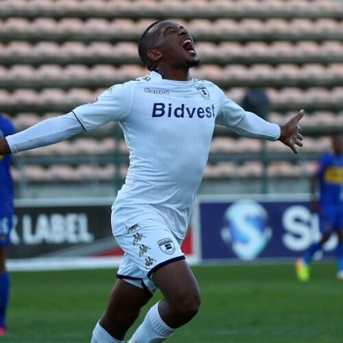 Majoro brace sinks CT City