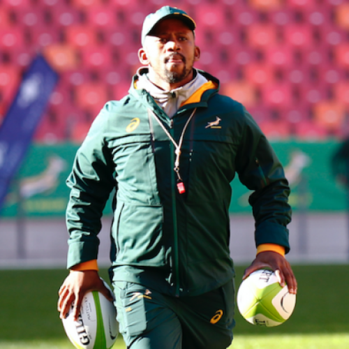 Big day for Springbok rugby