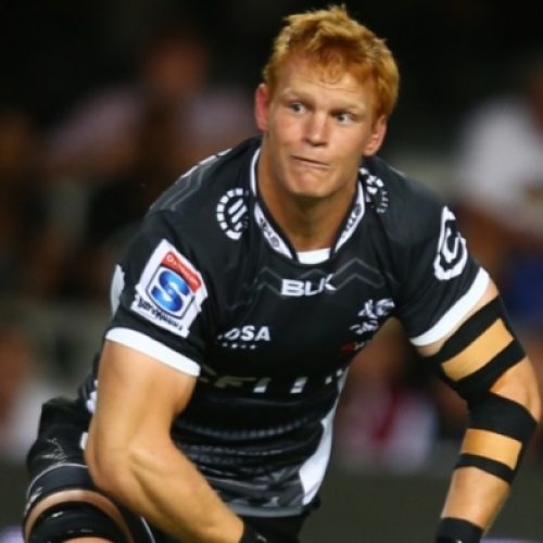 Ambitious Sharks set for early test