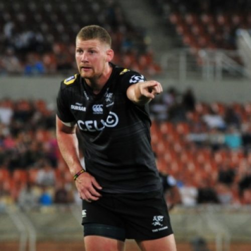 Super Rugby preview: Sharks