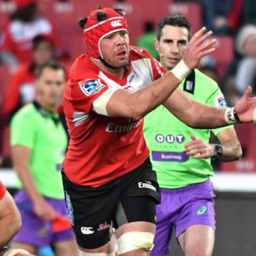 Whiteley back for Lions opener