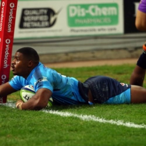 Bulls cruise past Jaguares