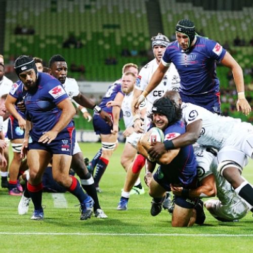 Rebels embarrass Sharks