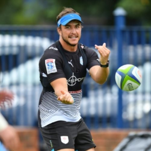 Bulls welcome back Odendaal