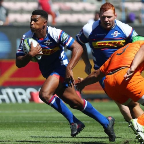 Fleck: Willemse ready for Test rugby