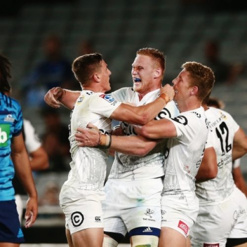 Superb Sharks smash Blues