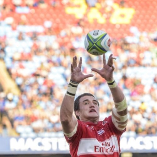 Lions soar, Sharks stumble