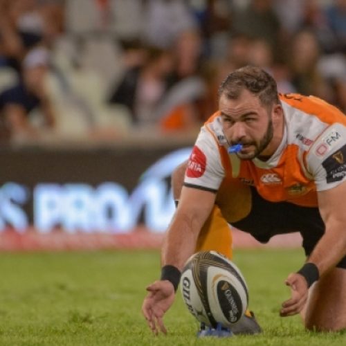 Cheetahs break losing run